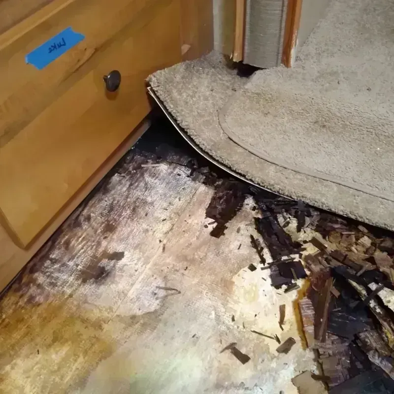 Wood Floor Water Damage in Maine, WI